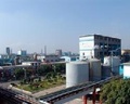 欧阳龙：创新思路，向向社会输送“合格产品”